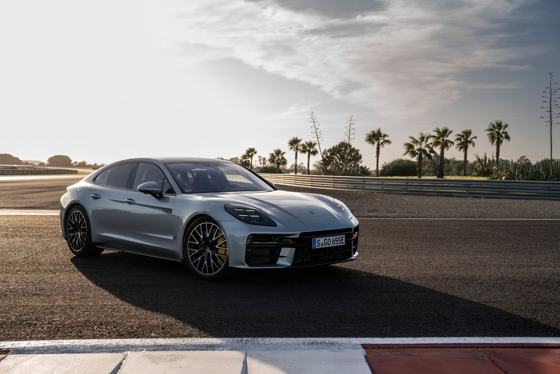 Foto van PORSCHE PANAMERA S E-HYBRID