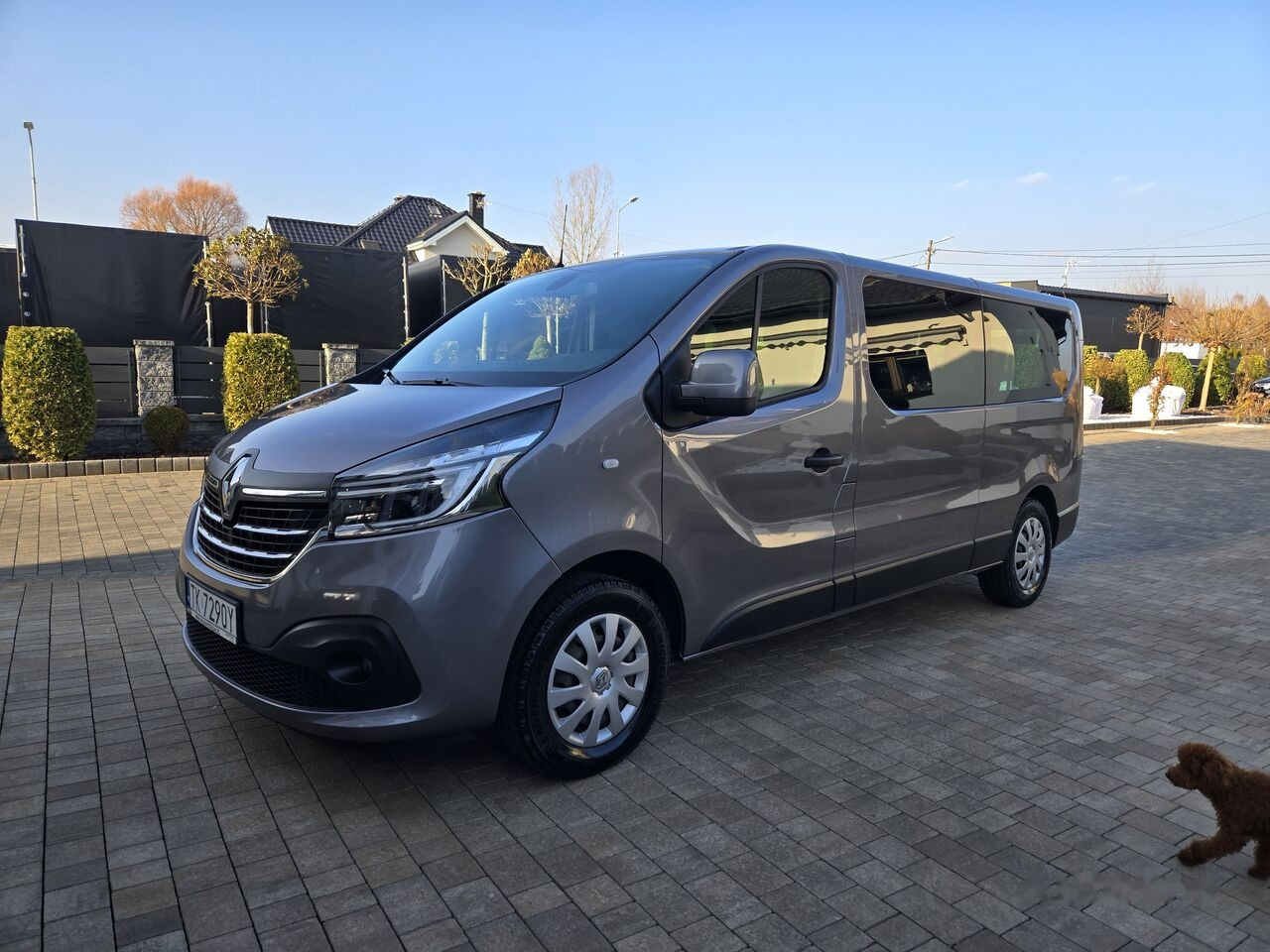 Renault Trafic 1200 L2 H1 1.9 Dci 100  2004 - voorkant