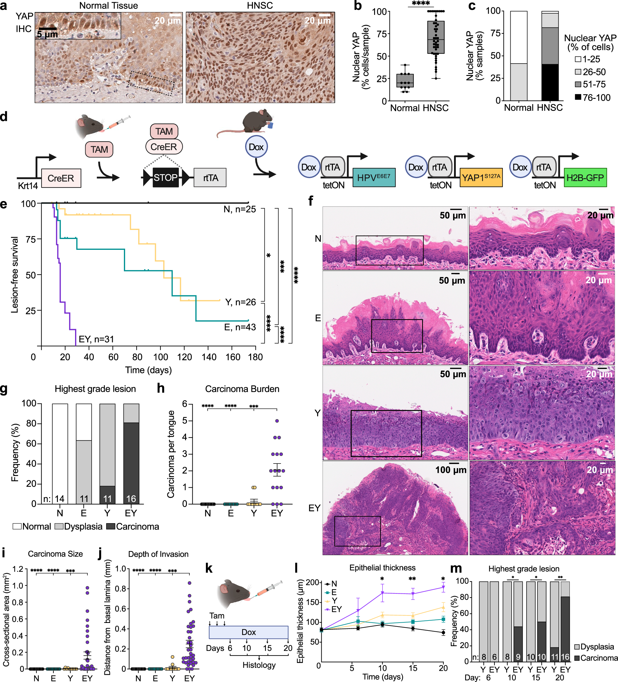 Foto van LMC 722 G TI