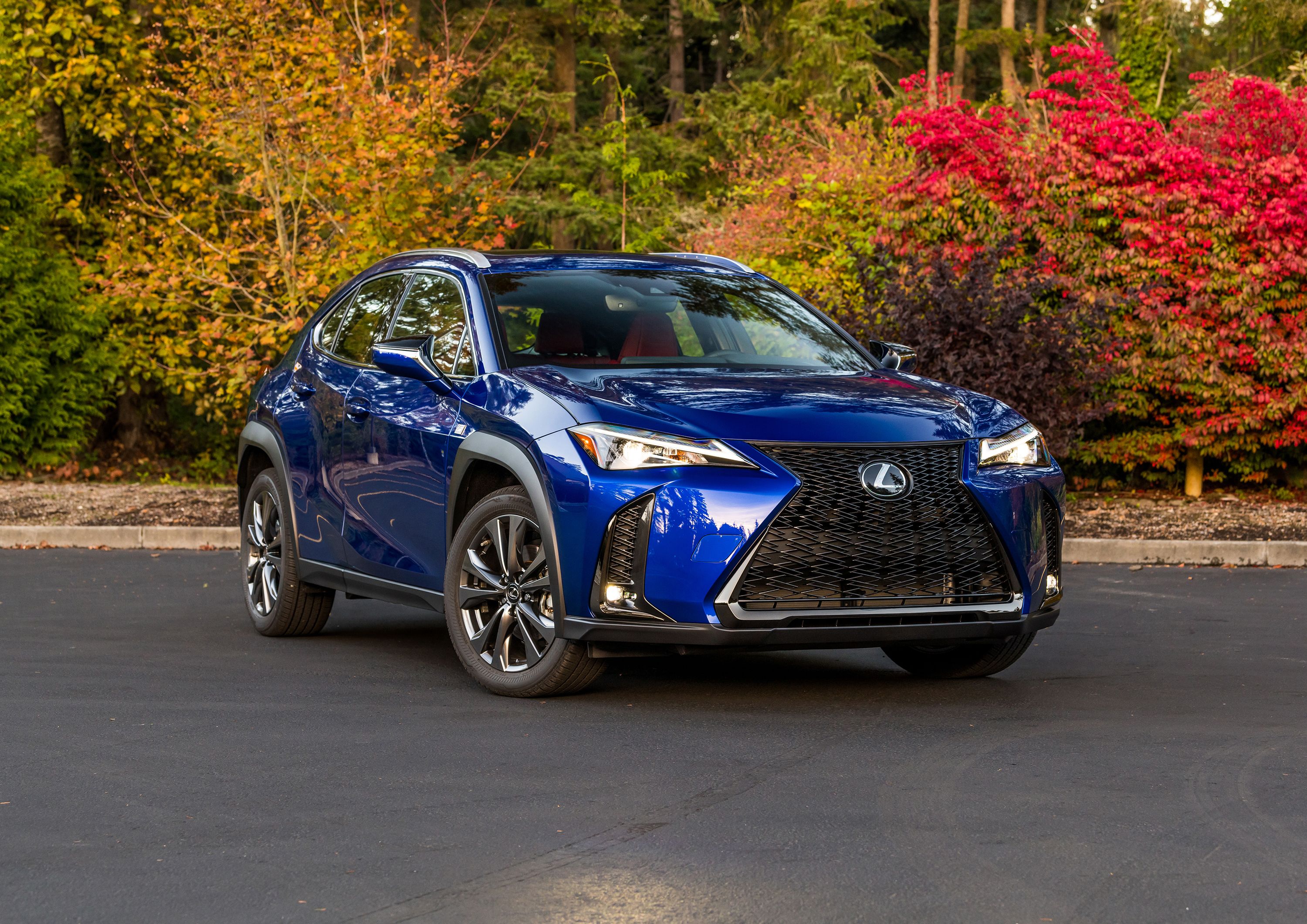 Foto van LEXUS LEXUS UX250H