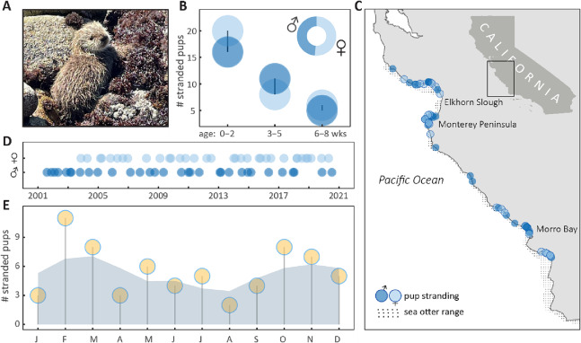 Foto van HYMER HC 322