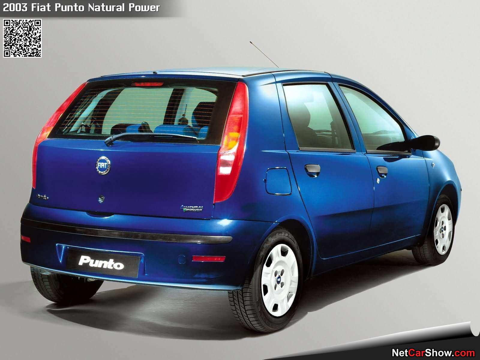 Foto van FIAT PUNTO