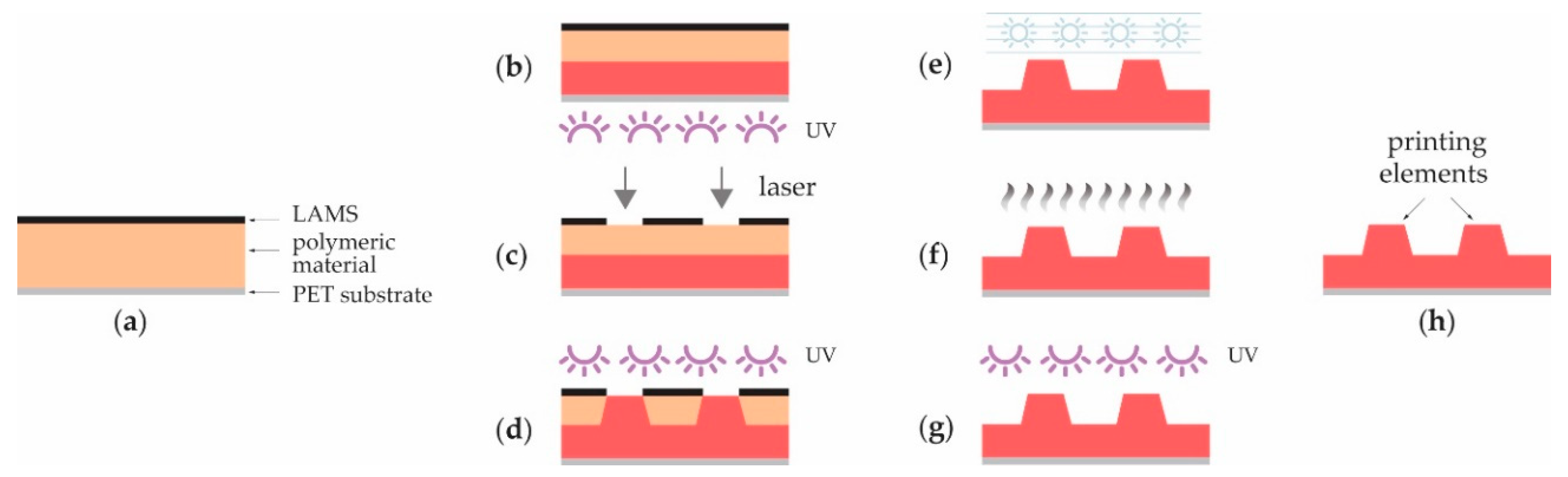 Foto van SUN LIVING FLEXO V1