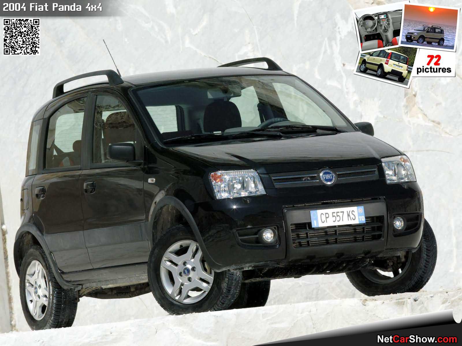 Foto van FIAT FIAT PANDA 4X4