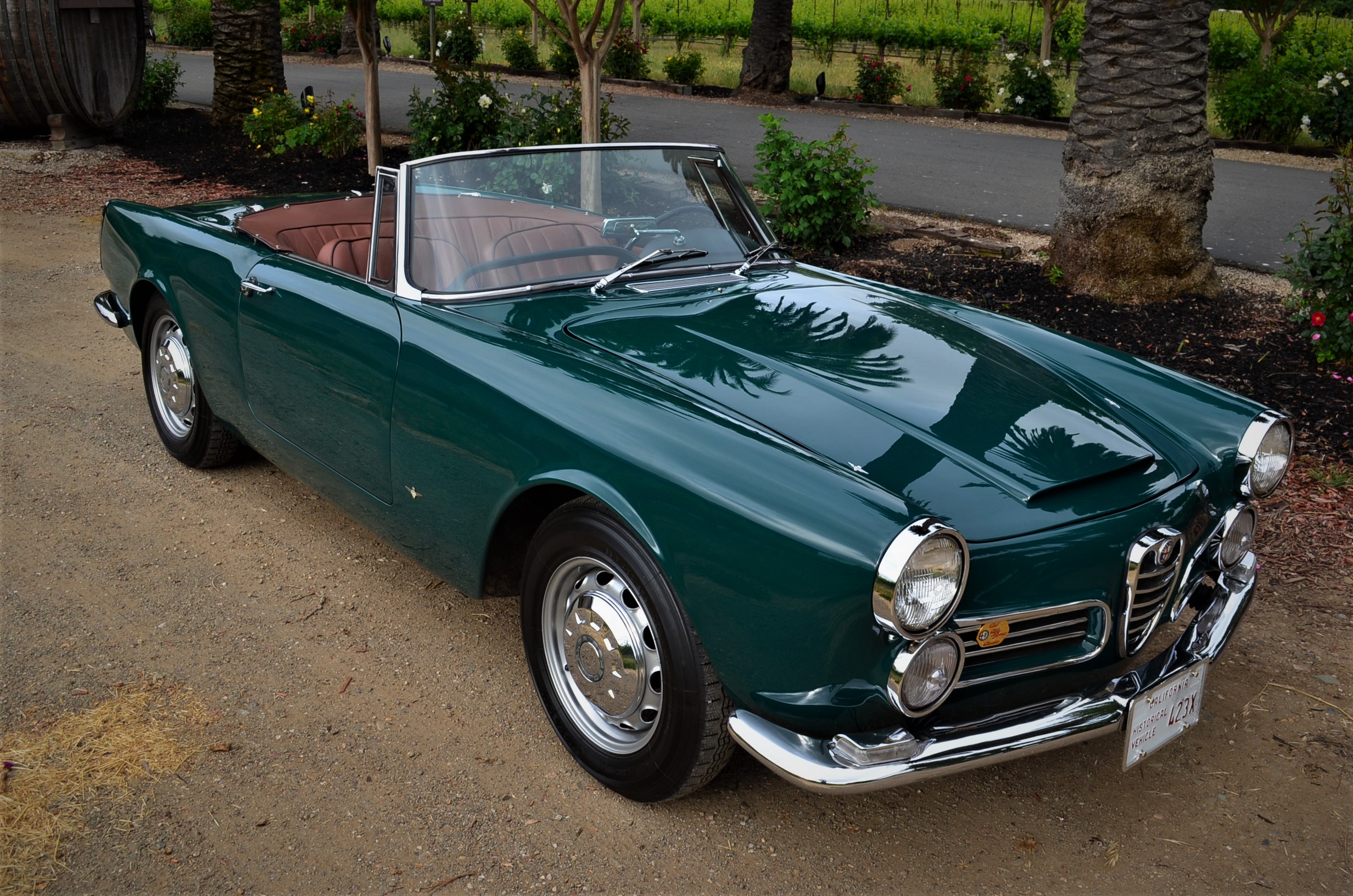 Foto van ALFA ROMEO SPIDER