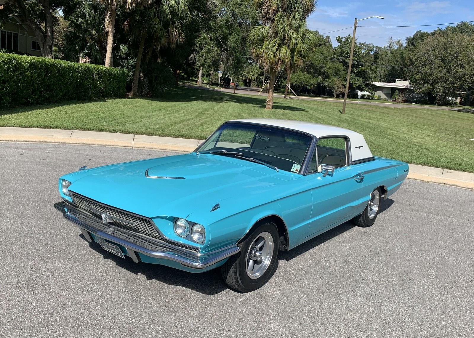 Foto van FORD THUNDERBIRD