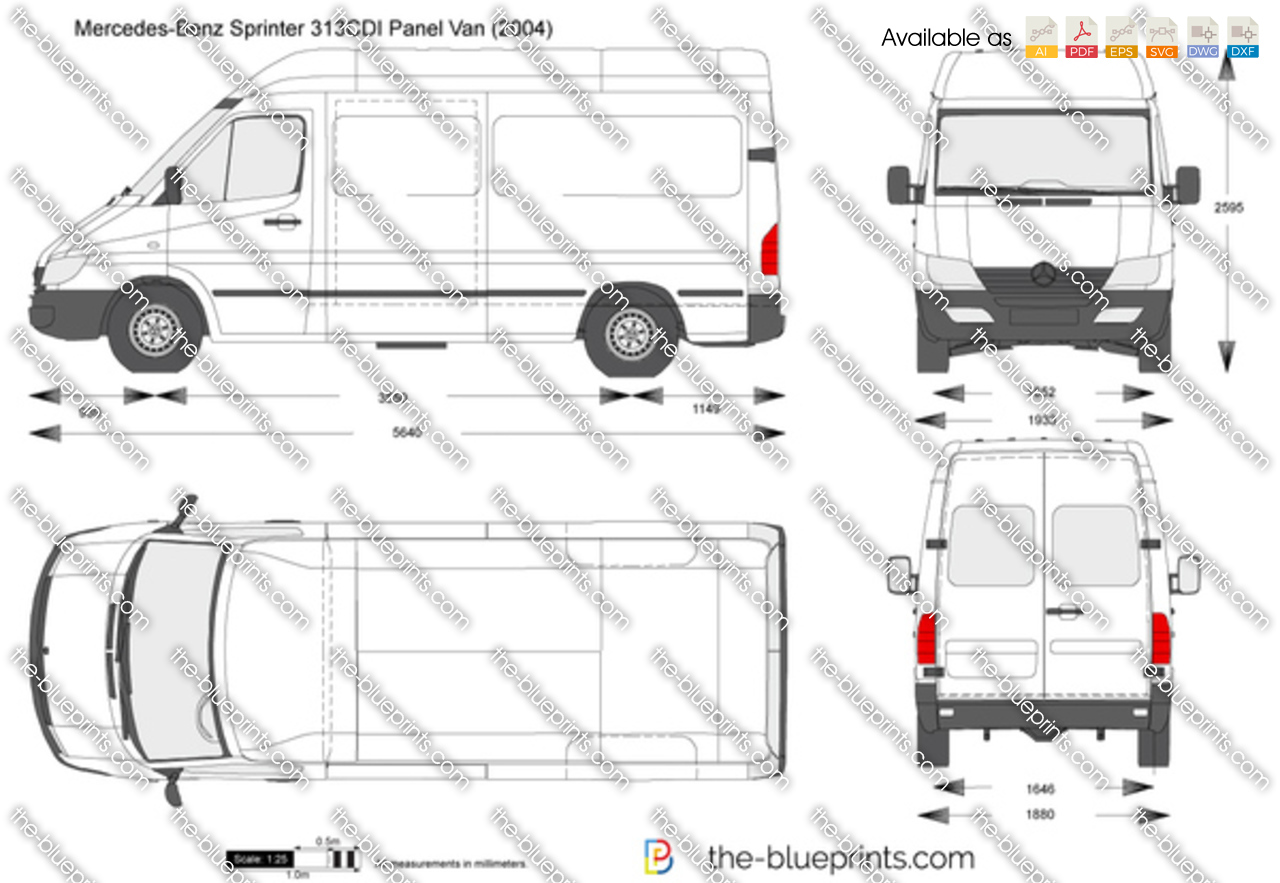 Foto van MERCEDES-BENZ 313 CDI