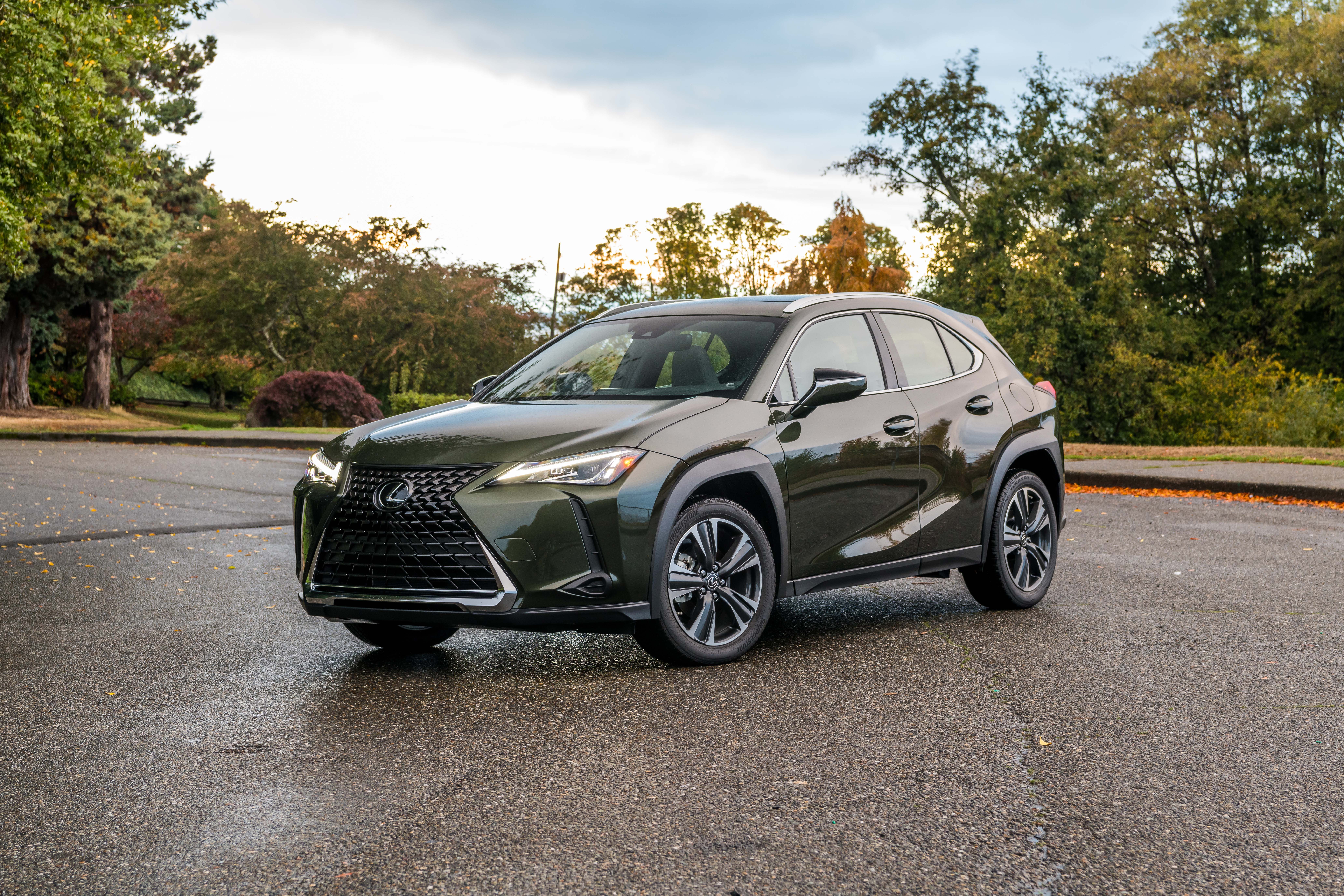 Foto van LEXUS LEXUS UX250H