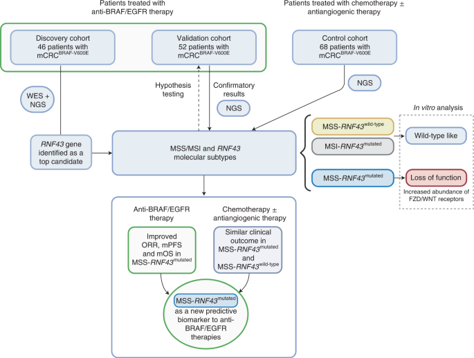 Foto van PILOTE V600F