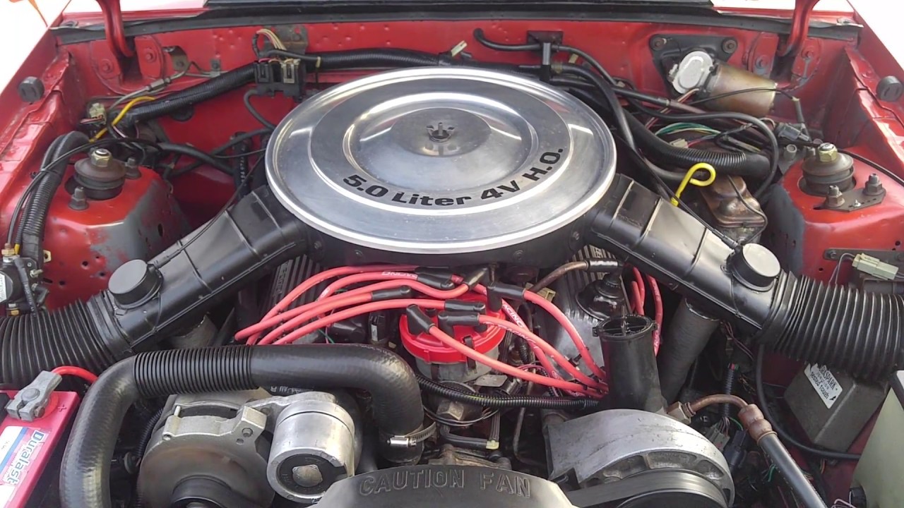 Foto van FORD MUSTANG