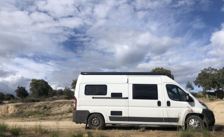Foto van DETHLEFFS GLOBESCOUT