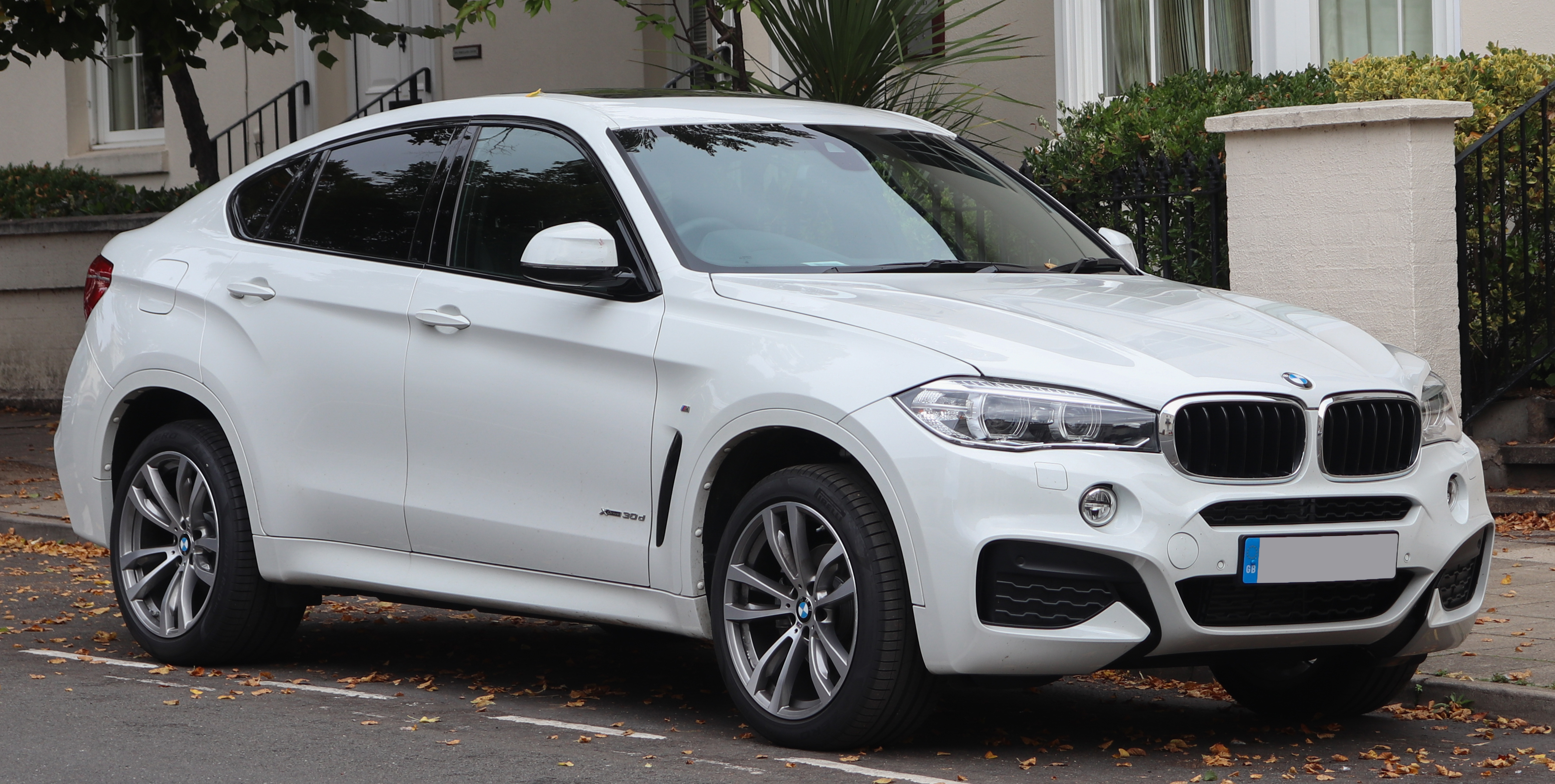 Foto van BMW X REIHE