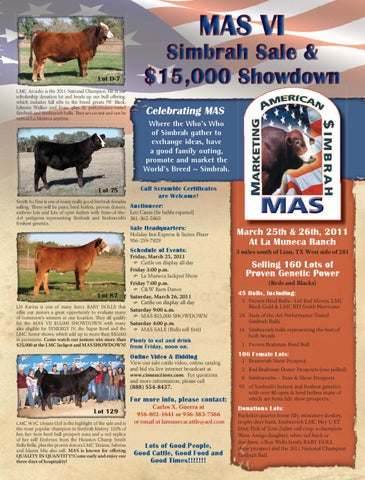 Foto van LMC LIBERTY I 675-5G