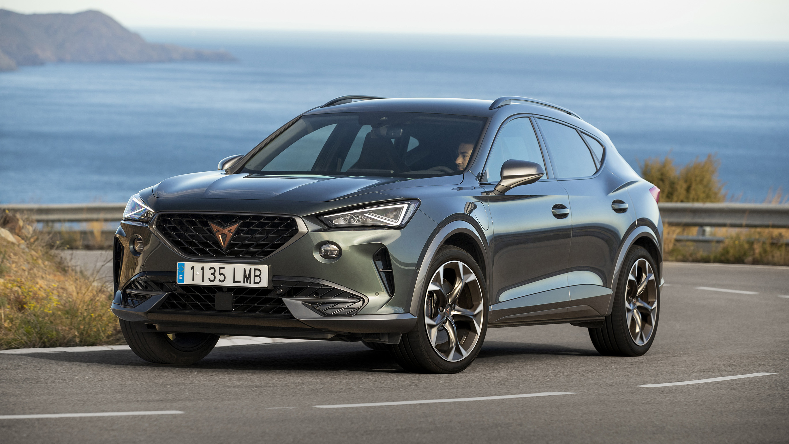 Foto van CUPRA FORMENTOR E-HYBRID