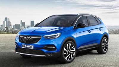 Foto van OPEL GRANDLAND X