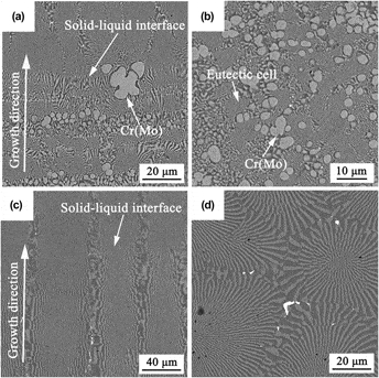 Foto van LMC 654 G TI