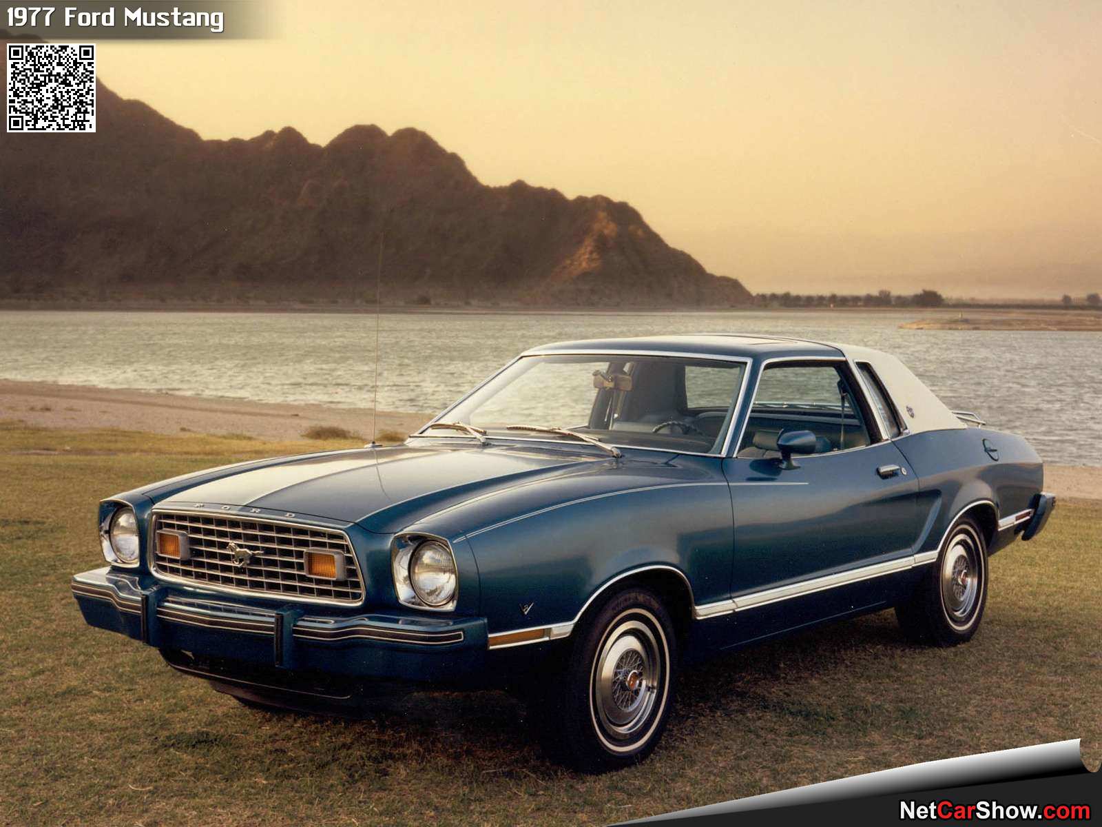 Foto van FORD MUSTANG