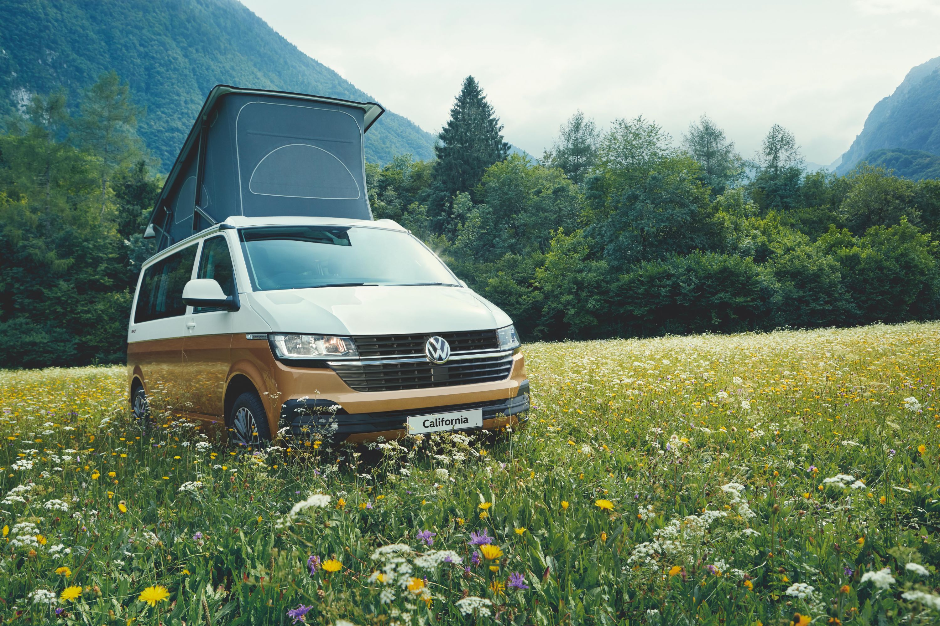 Foto van VW CALIFORNIA