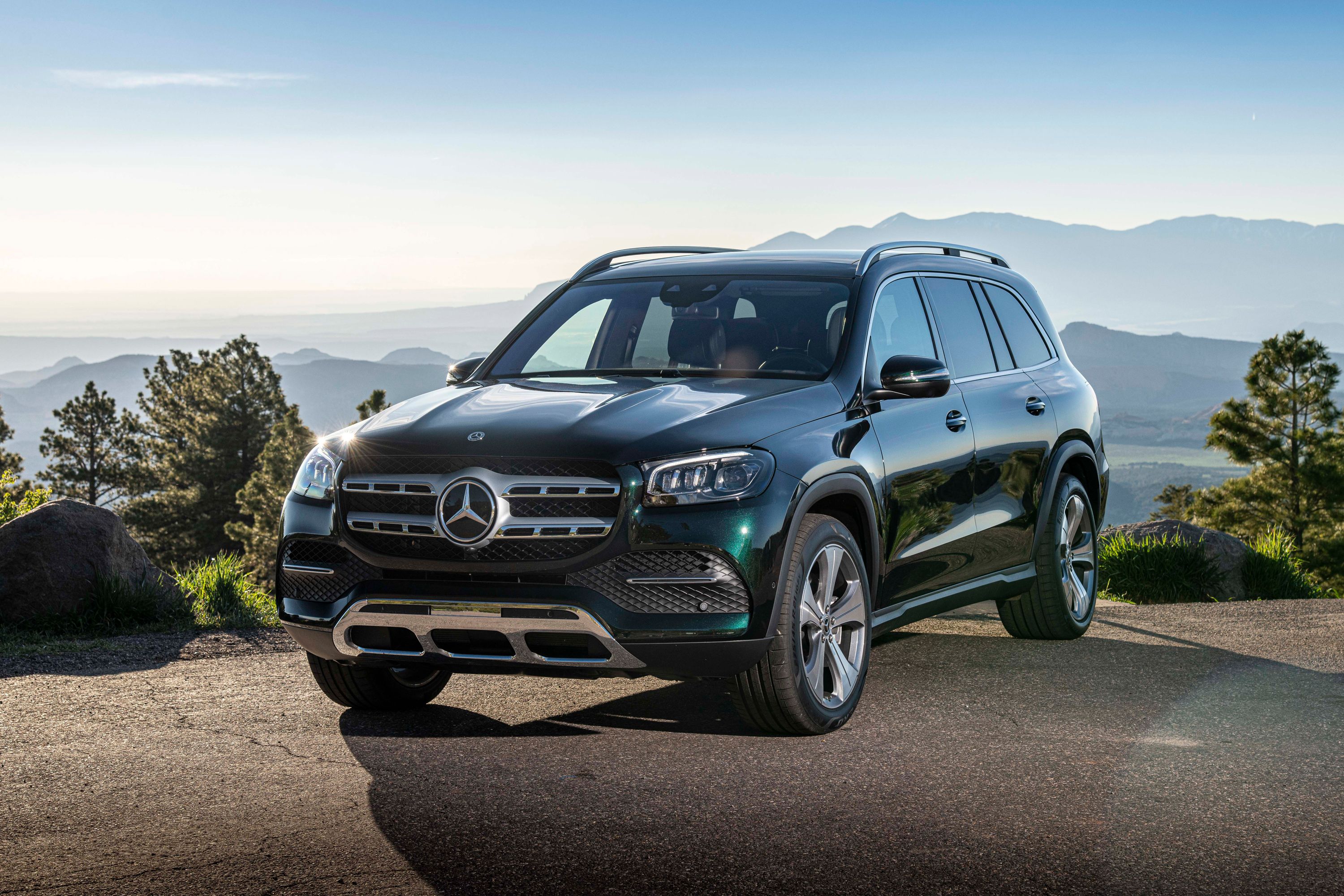 Foto van MERCEDES-BENZ GLS 350 d 4MATIC