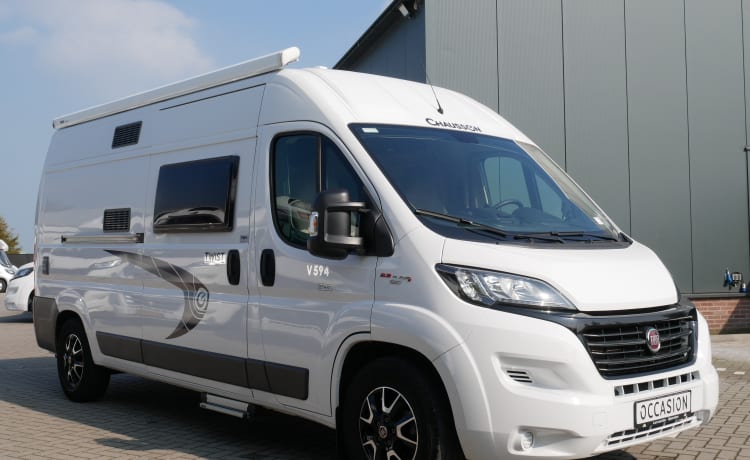 Foto van CHAUSSON TWIST V594