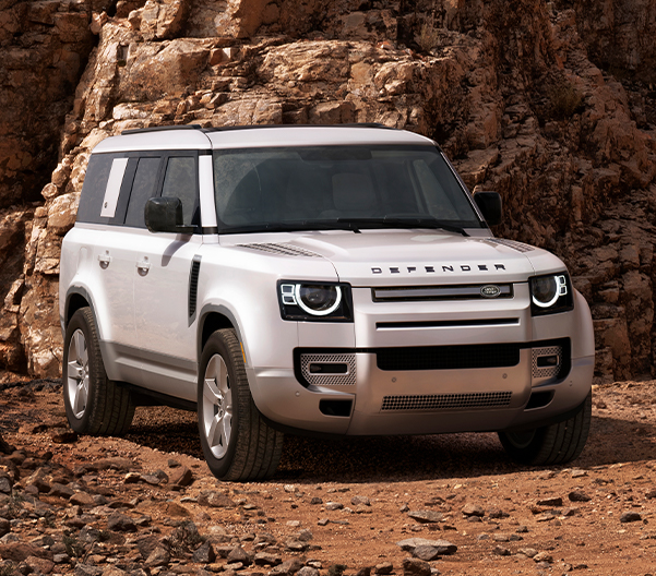 Foto van Land Rover Defender 110