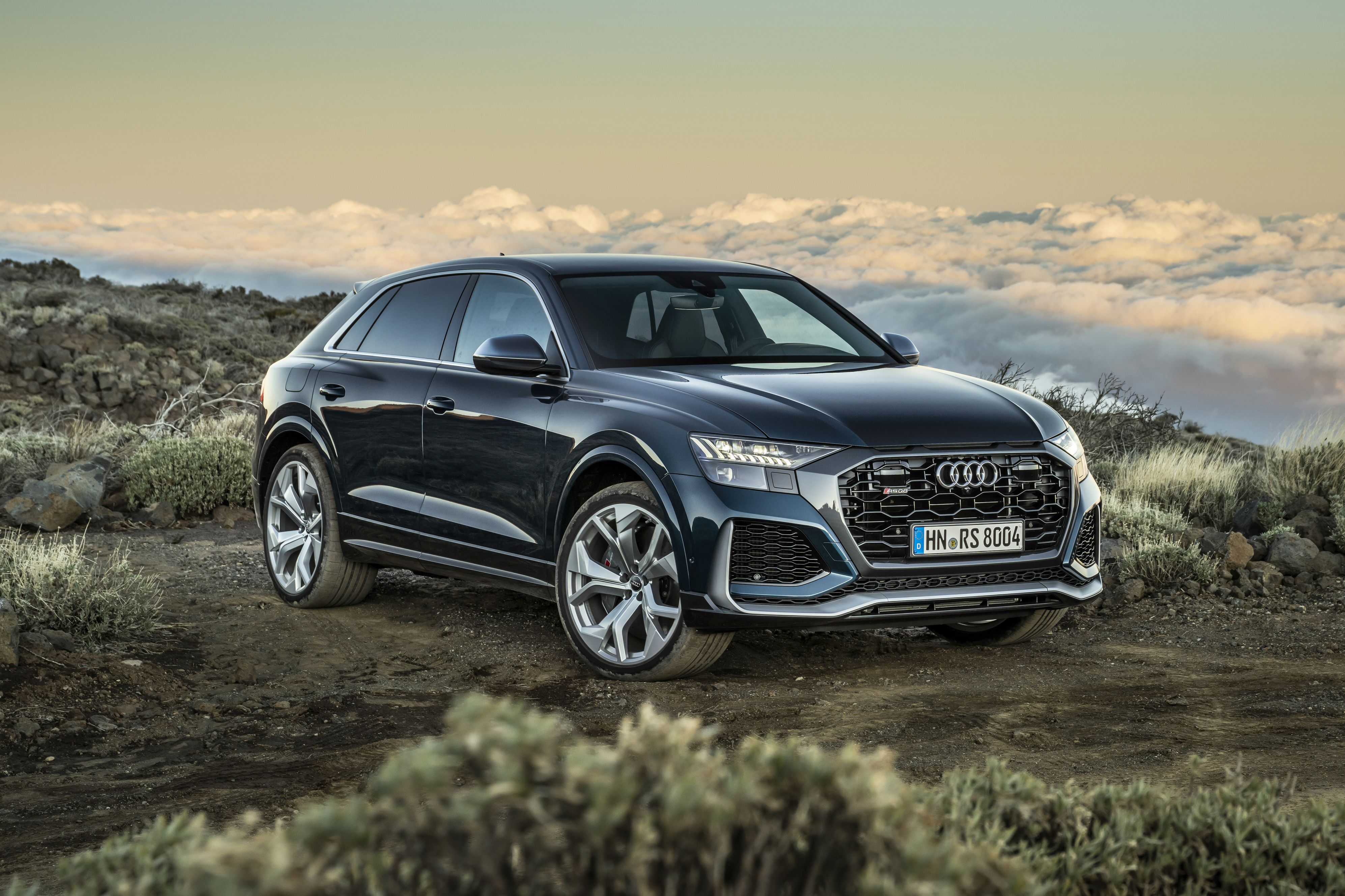 Foto van AUDI RS Q8