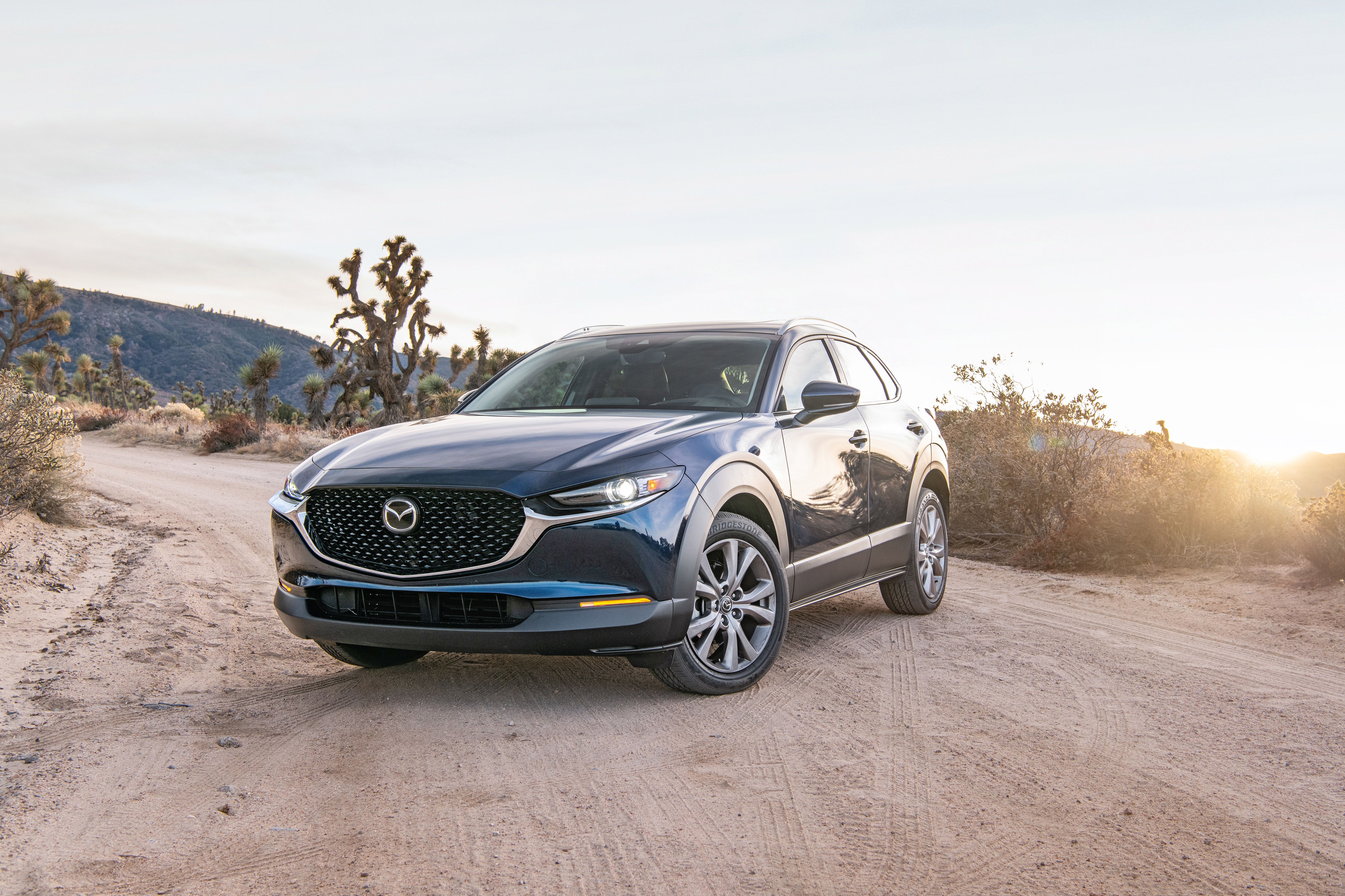Foto van MAZDA MAZDA CX-30