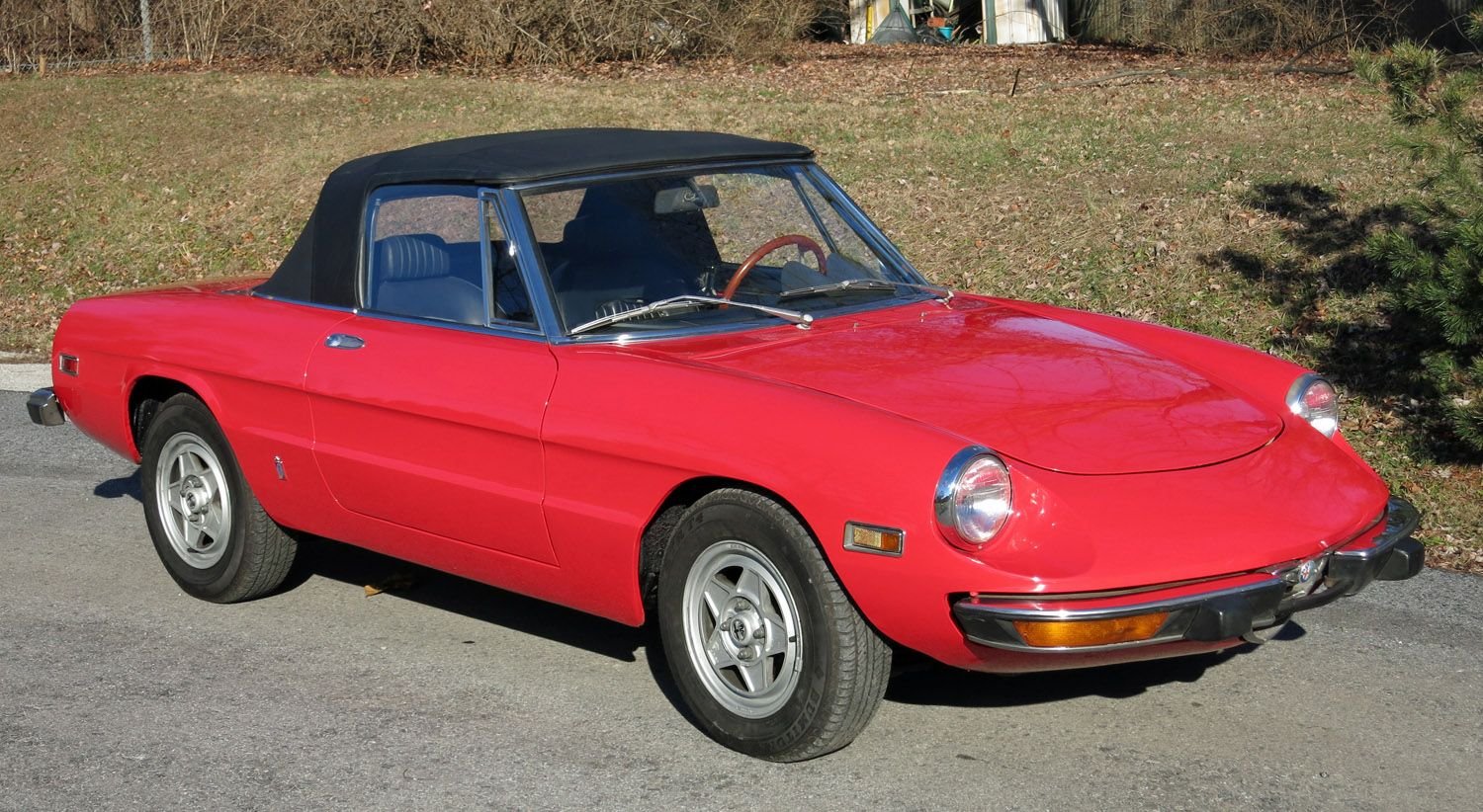 Foto van ALFA ROMEO SPIDER