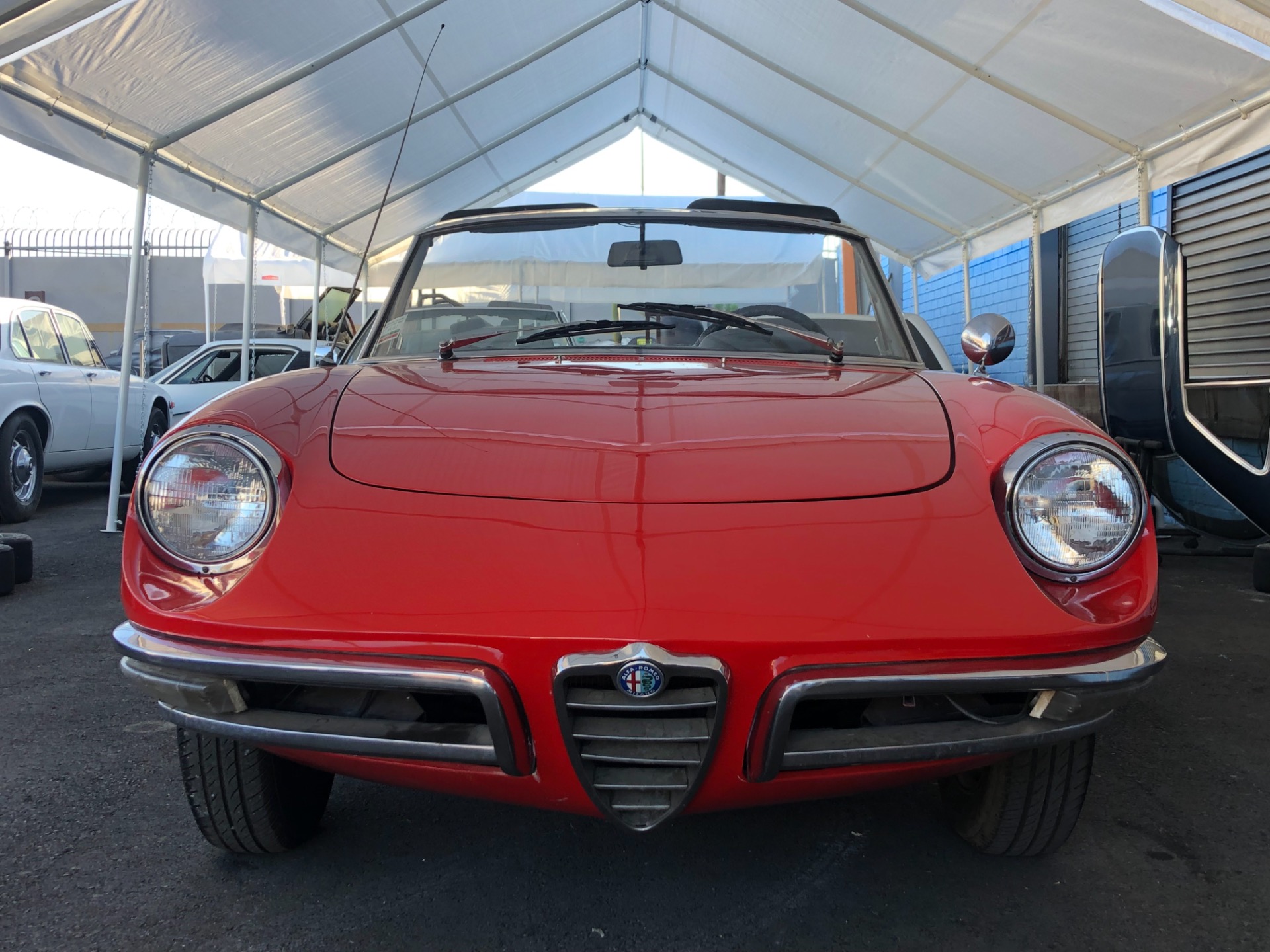 Foto van ALFA ROMEO SPIDER