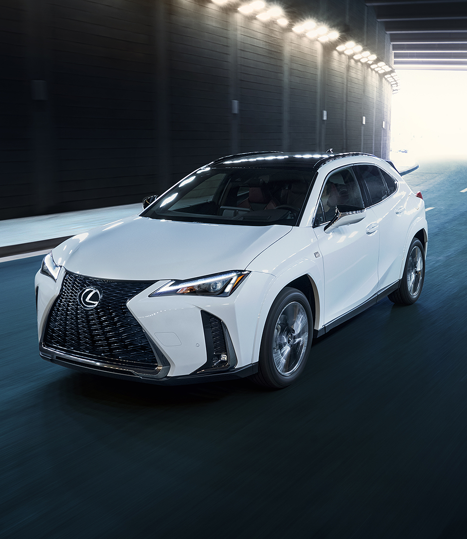 Foto van LEXUS LEXUS UX300E