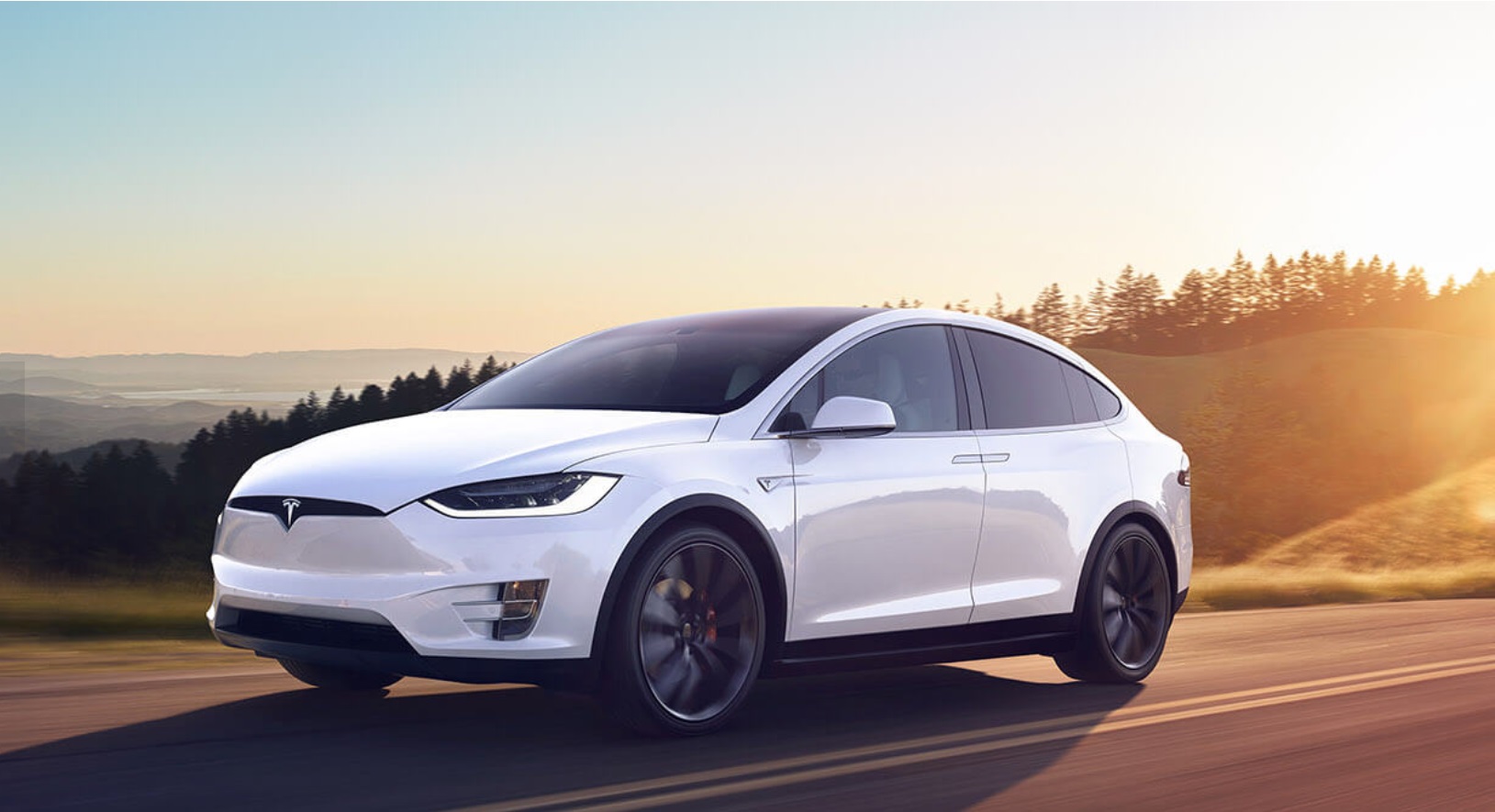 Foto van TESLA MODEL X