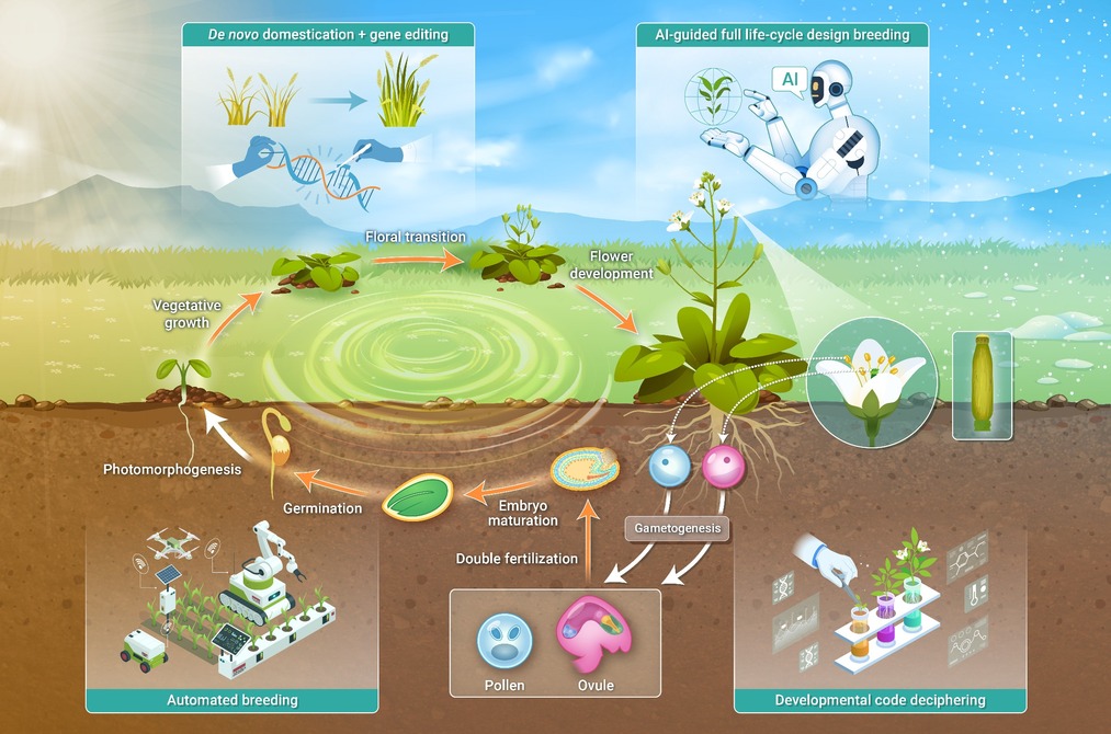 Foto van CAPRON CV 590