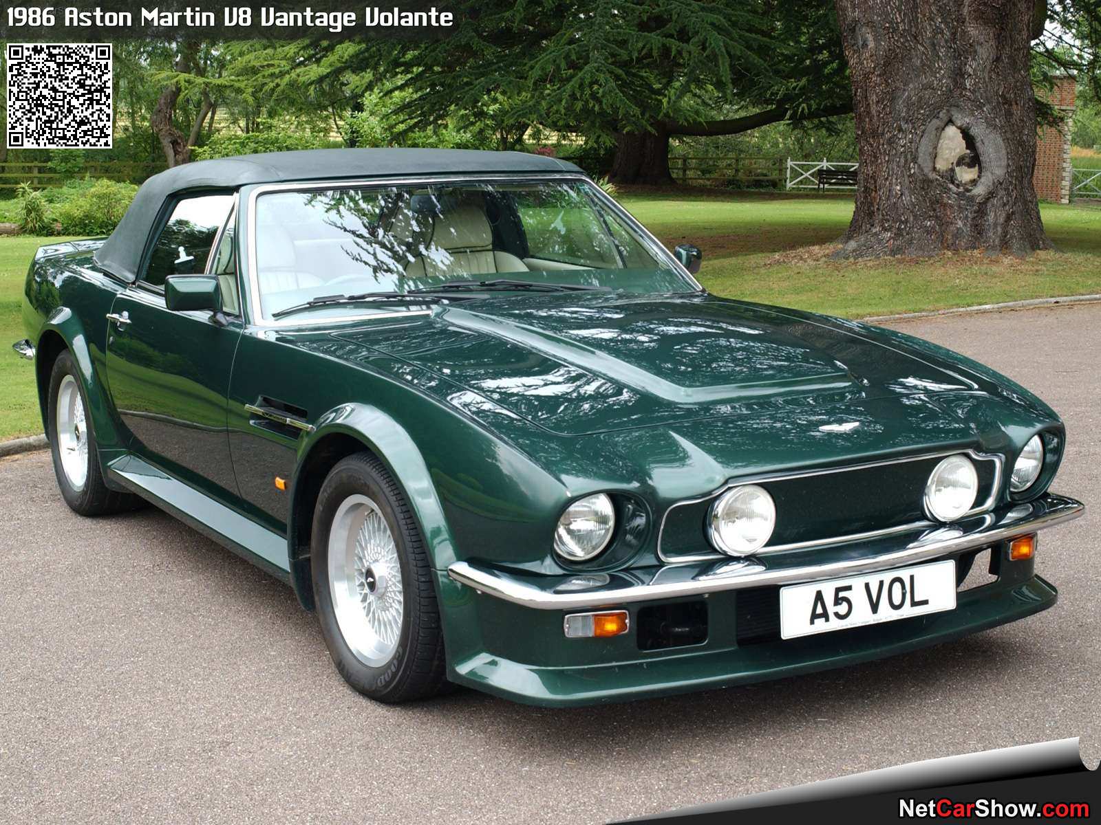 Foto van ASTON MARTIN V8 VOLANTE