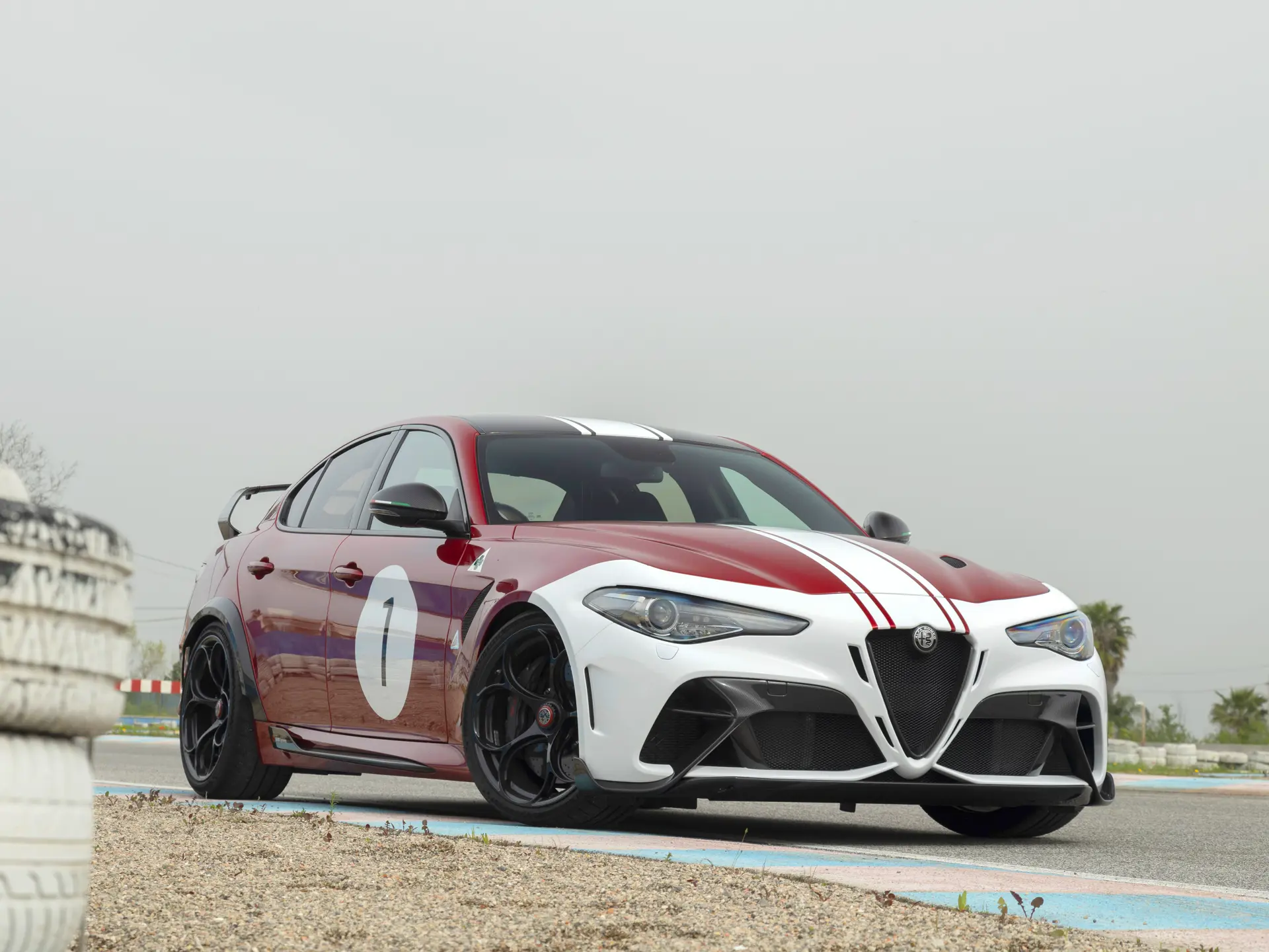Foto van ALFA ROMEO GIULIA GTAM