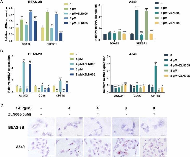 Foto van HYMER B 528 CL