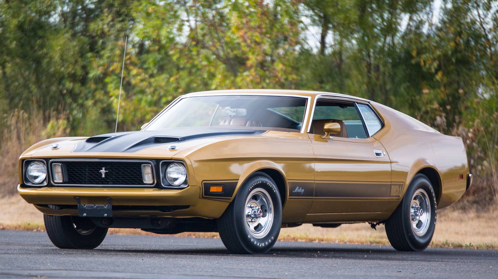 Foto van FORD MUSTANG