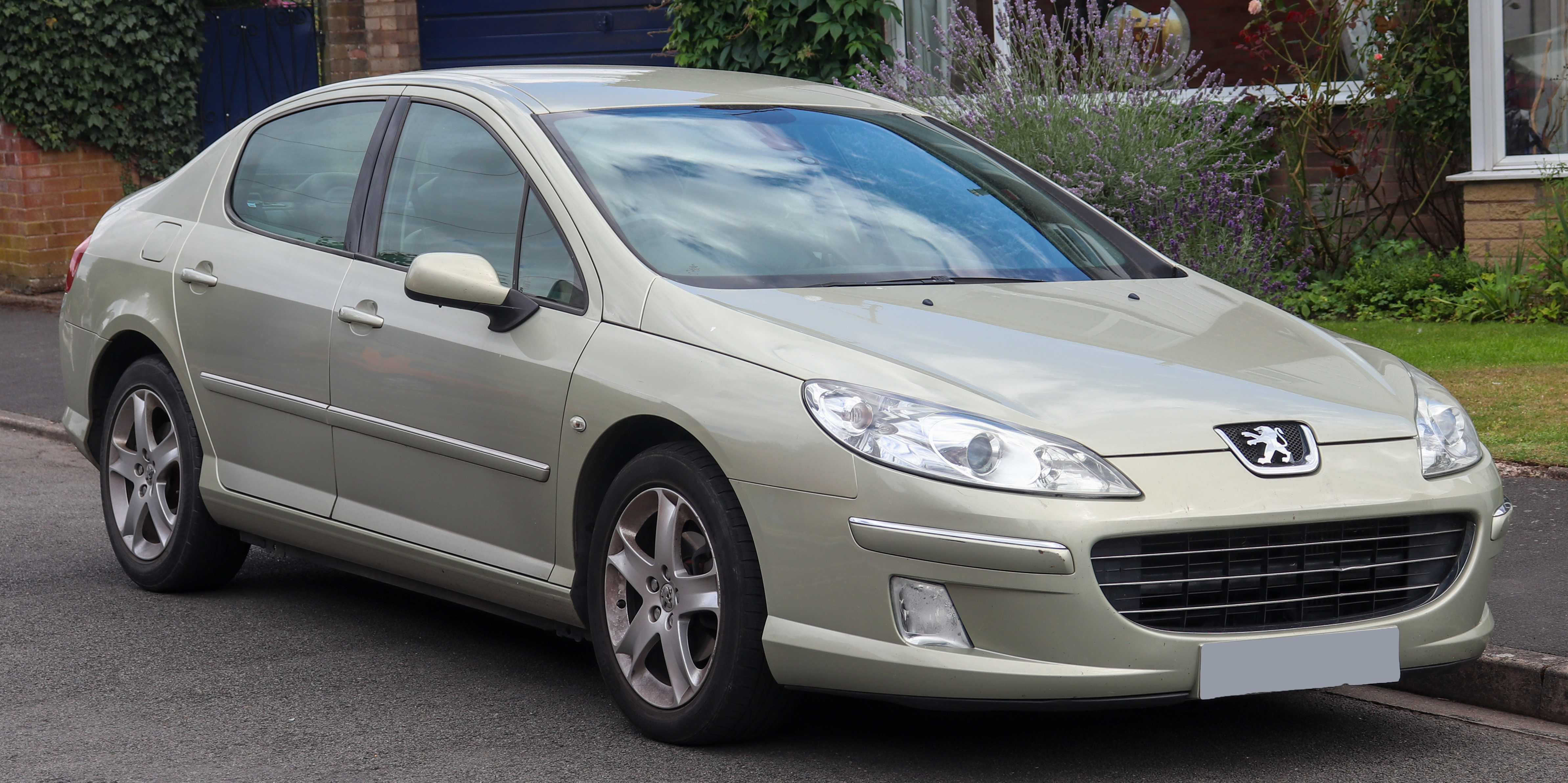 Foto van PEUGEOT 407