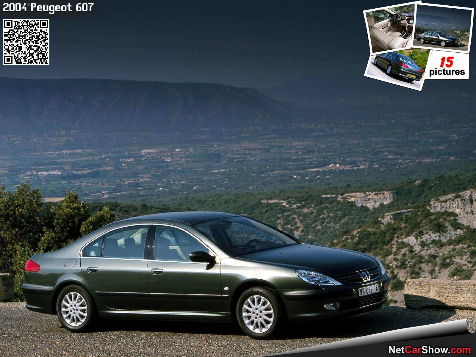 Foto van PEUGEOT 607