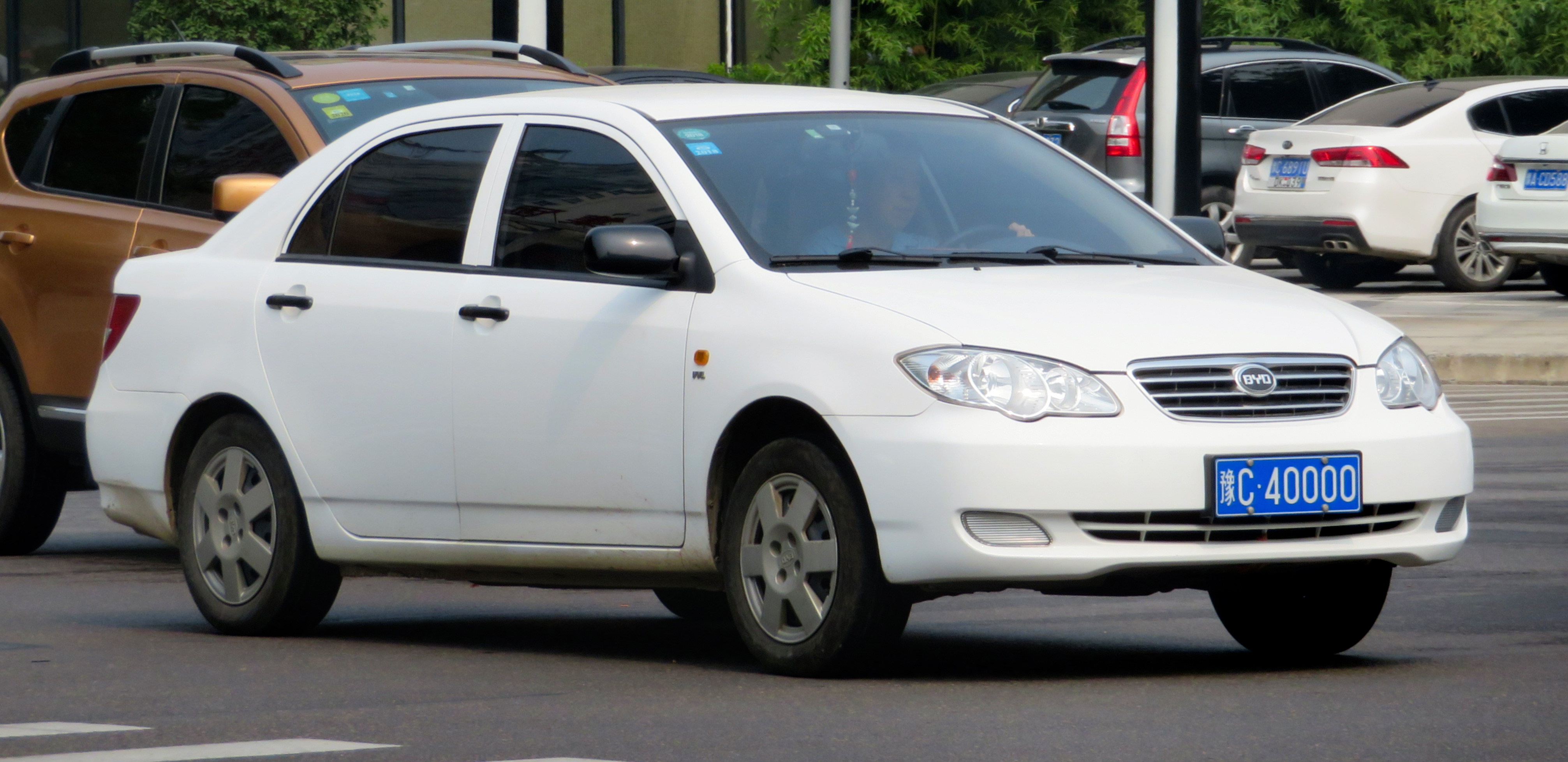 Foto van BYD F3DM